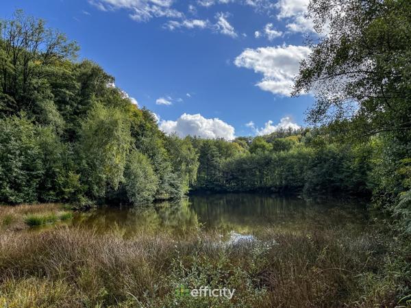 Maison 4 pièces - 136 m² Exclusivité