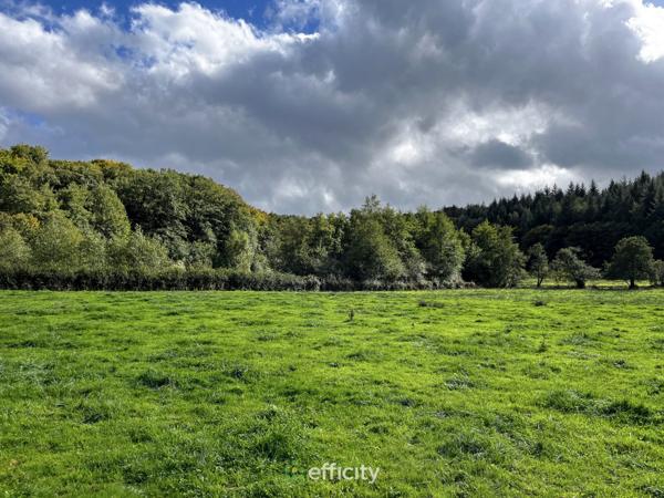 Maison 4 pièces - 136 m² Exclusivité