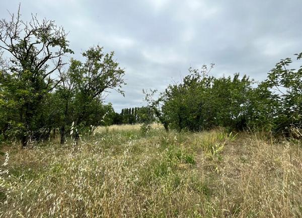 Maison à vendre    3 pièces •  Royan