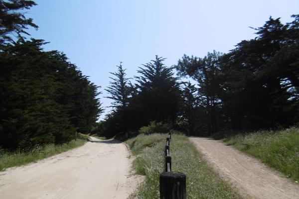 Terrain viabilisé de 653 m² - Notre Dame De Monts