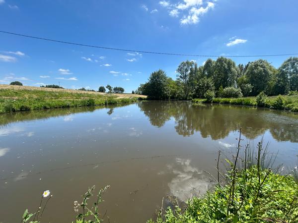 EN CAMPAGNE 7 MIN DE CHATEAU GONTIER , Chemaze EN CAMPAGNE 7 MIN DE CHATEAU GONTIER , Chemaze