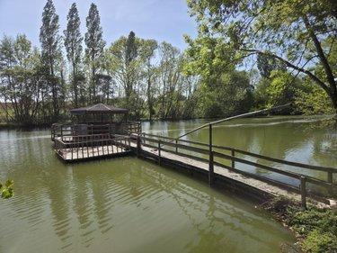 Terrain de loisirs - Bois - Etang à vendre à La Roche-Neuville en Mayenne (53200), ref : 53073-1758