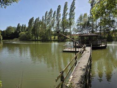 Terrain de loisirs - Bois - Etang à vendre à La Roche-Neuville en Mayenne (53200), ref : 53073-1758