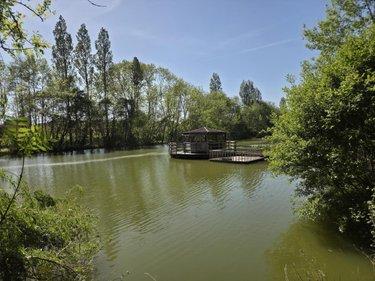 Terrain de loisirs - Bois - Etang à vendre à La Roche-Neuville en Mayenne (53200), ref : 53073-1758