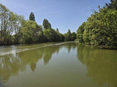 Terrain de loisirs - Bois - Etang à vendre à La Roche-Neuville en Mayenne (53200), ref : 53073-1758