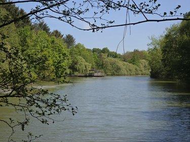 Terrain de loisirs - Bois - Etang à vendre à La Roche-Neuville en Mayenne (53200), ref : 53073-1758