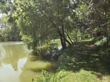 Terrain de loisirs - Bois - Etang à vendre à La Roche-Neuville en Mayenne (53200), ref : 53073-1758