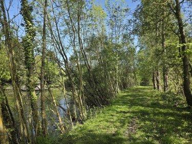 Terrain de loisirs - Bois - Etang à vendre à La Roche-Neuville en Mayenne (53200), ref : 53073-1758