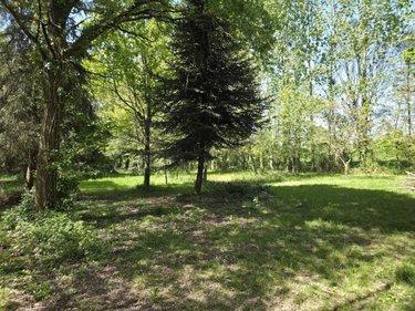 Terrain de loisirs - Bois - Etang à vendre à La Roche-Neuville en Mayenne (53200), ref : 53073-1758