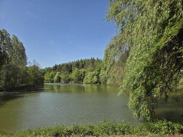 Terrain de loisirs - Bois - Etang à vendre à La Roche-Neuville en Mayenne (53200), ref : 53073-1758