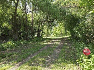 Terrain de loisirs - Bois - Etang à vendre à La Roche-Neuville en Mayenne (53200), ref : 53073-1758