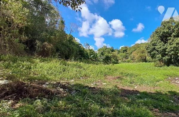 Terrain à Vendre au Gosier (97190) en Guadeloupe.
Ce terrain à bâtir avec un COS de 30%, prése...