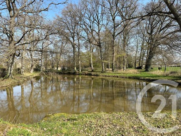 Maison à vendre  11 pièces - 310 m2 COSNE COURS SUR LOIRE - 58