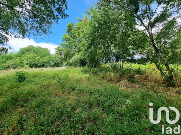 Terrain à vendre 8 364 m² Le Tallud