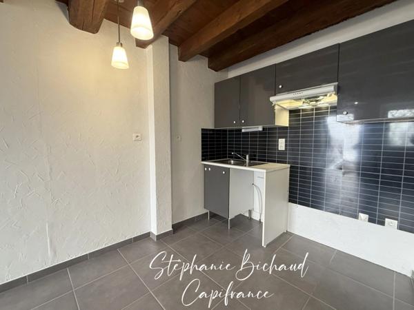 Appartement rez-de-jardin à vendre T2 jardin 255 m² LA ROCHETTE (05)