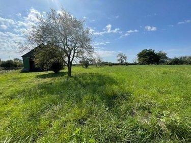 Terrain de loisirs - Bois - Etang à vendre à Noyen-sur-Sarthe dans la Sarthe (72430), ref : 72120-812