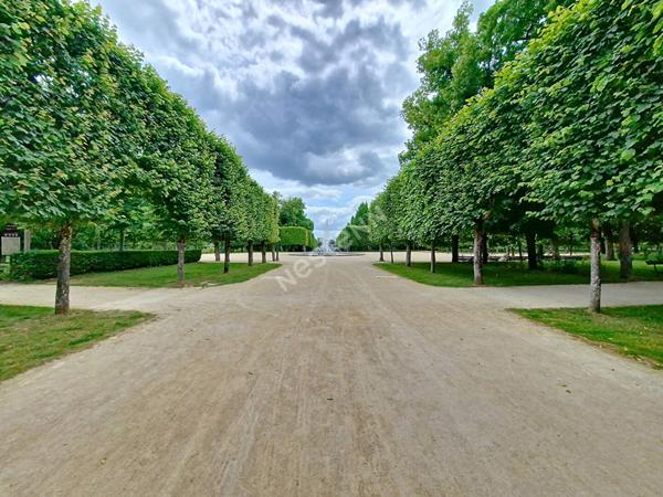 Maison de ville élégante et intime, offrant un cadre de vie exceptionnel face au parc de Blossac, où le charme de l'ancien rencontre le confort contemporain dans un havre de paix à l'abri de l'agitation
