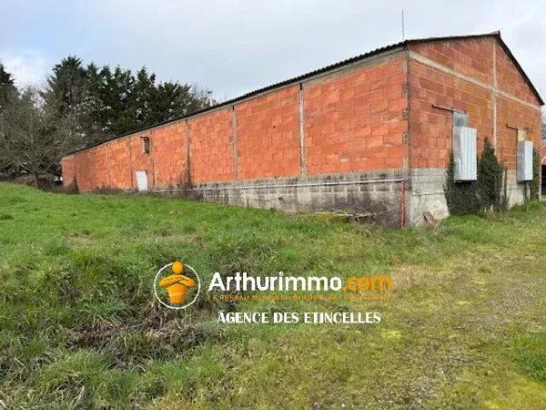 Vente Maison 5 pièces 185 m2 à Martigné-Ferchaud
