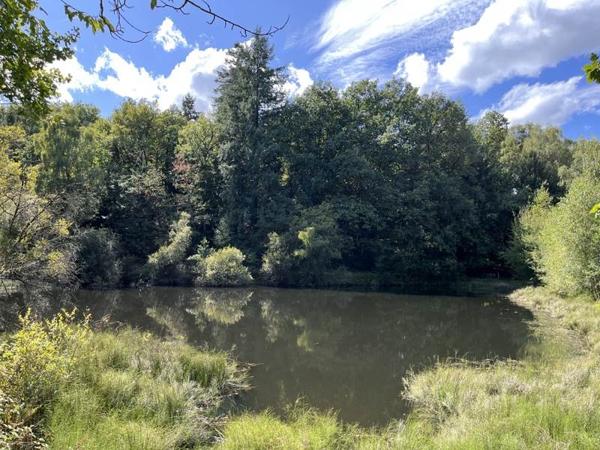 Terrain à vendre |  Jumilhac-le-Grand |  18480 m²