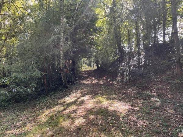 Terrain à vendre |  Jumilhac-le-Grand |  18480 m²