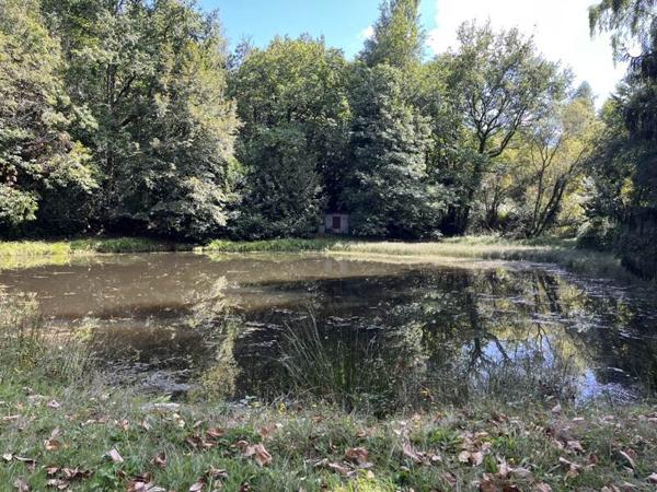 Terrain à vendre |  Jumilhac-le-Grand |  18480 m²