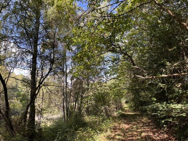 Terrain à vendre |  Jumilhac-le-Grand |  18480 m²