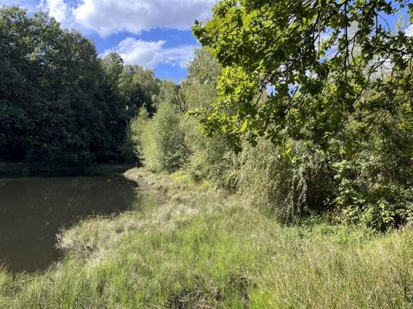 Terrain à vendre |  Jumilhac-le-Grand |  18480 m²