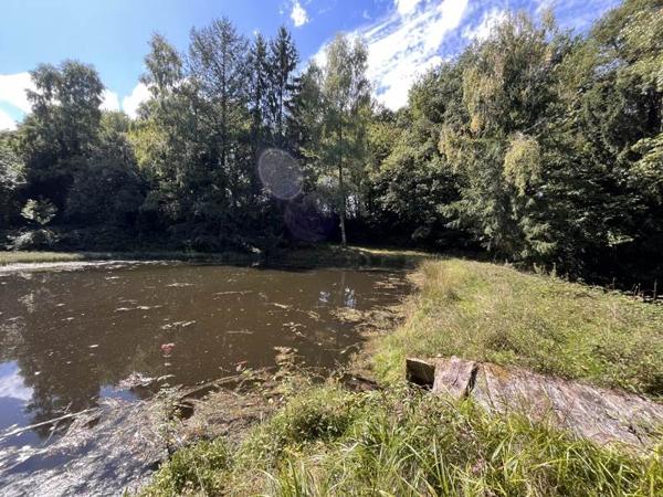 Terrain à vendre |  Jumilhac-le-Grand |  18480 m²