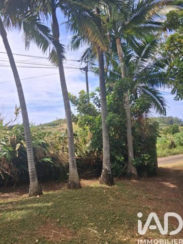 Terrain à vendre 754 m² Saint-Pierre