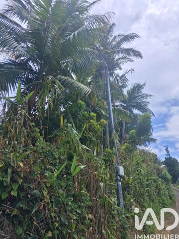 Terrain à vendre 754 m² Saint-Pierre