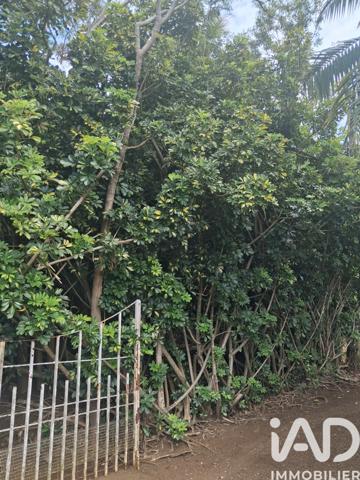 Terrain à vendre 754 m² Saint-Pierre