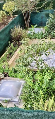 Appartement 3 pièces en rez-de-jardin - Le Cannet