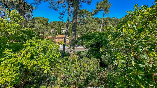 Arcachon (33120) Terrain constructible