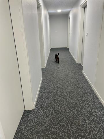 T3 BOUGUENAIS LES COUETS