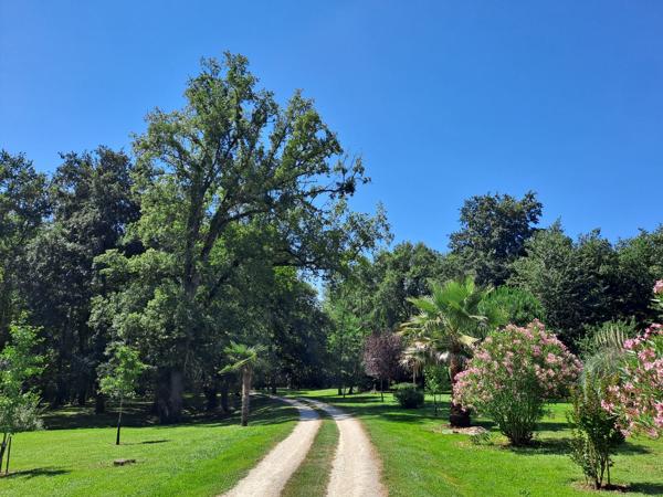 Superbe Maison de Campagne Entièrement Rénovée dans un Parc de 3ha