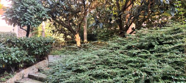 Paris (75016) À Paris 16, immense appartement en vente avec 3 pièces