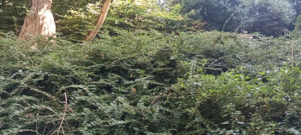 Paris (75016) À Paris 16, immense appartement en vente avec 3 pièces