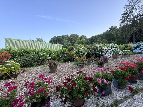 Longère de  177m2 sur un terrain de 23512m2