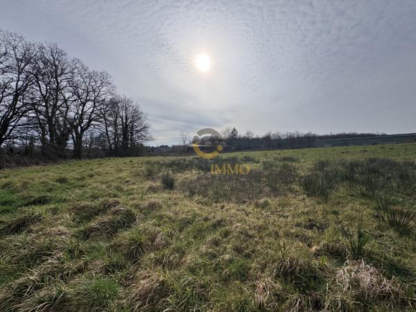 Longère de  177m2 sur un terrain de 23512m2