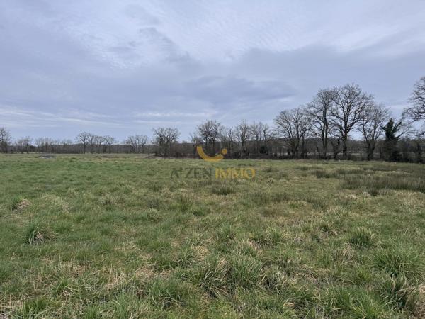 Longère de  177m2 sur un terrain de 23512m2