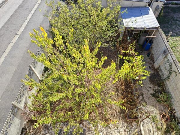 Vente / Maison à Nogent-sur-Seine (10400)