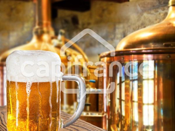 Pub Brasserie d'exception à vendre GRENOBLE (38)