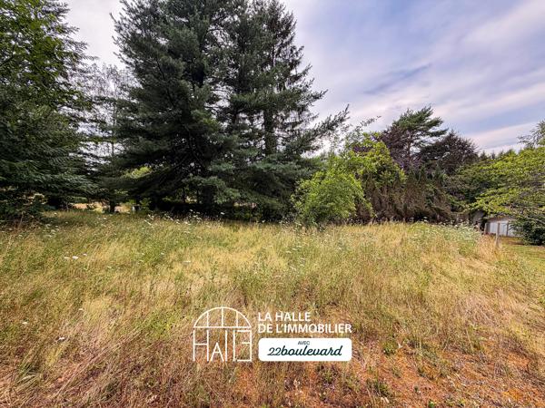 Terrain
        
        - 1500 m² Exclusivité 39 900 € *
