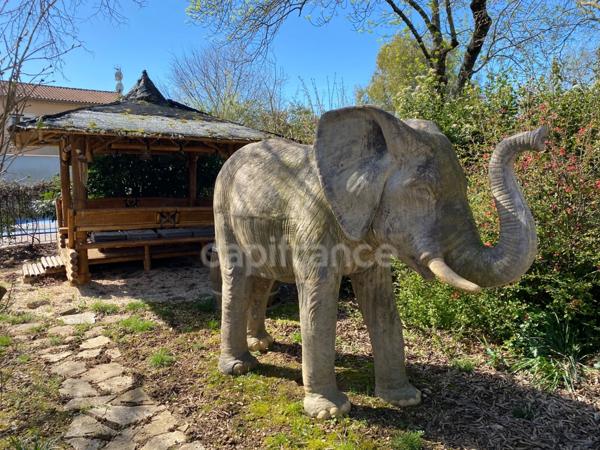 Domaine de Caractère d'environ 420 m2 avec possibilité d’activité de chambres d’hôtes et de gîtes ou potentiel familial !
