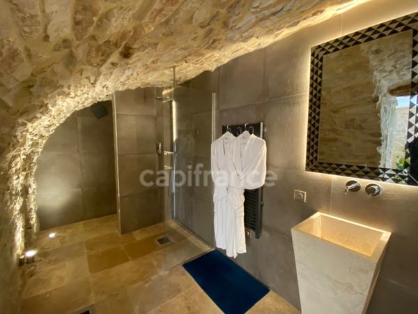 Domaine de Caractère d'environ 420 m2 avec possibilité d’activité de chambres d’hôtes et de gîtes ou potentiel familial !