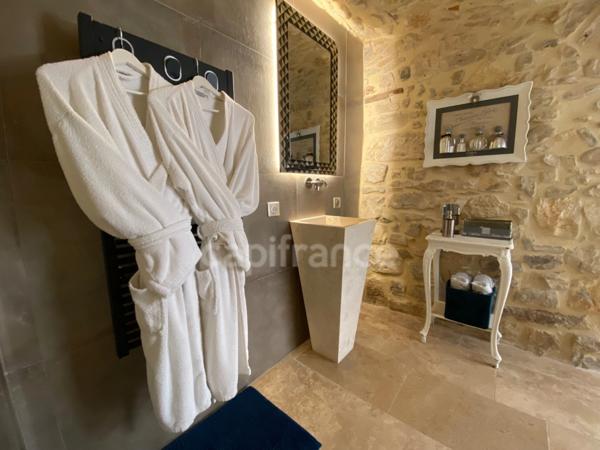 Domaine de Caractère d'environ 420 m2 avec possibilité d’activité de chambres d’hôtes et de gîtes ou potentiel familial !