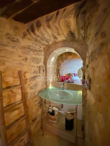 Domaine de Caractère d'environ 420 m2 avec possibilité d’activité de chambres d’hôtes et de gîtes ou potentiel familial !