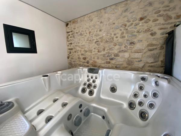 Domaine de Caractère d'environ 420 m2 avec possibilité d’activité de chambres d’hôtes et de gîtes ou potentiel familial !