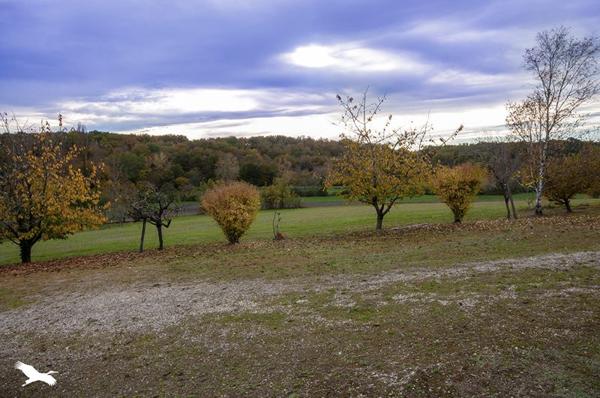 Maison à vendre |  Tocane-Saint-Apre |  6 pièces | 130 m²