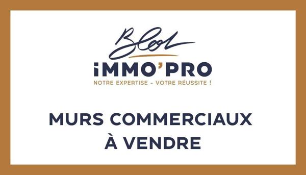 Vente Immeuble 1000 m2 à Morestel